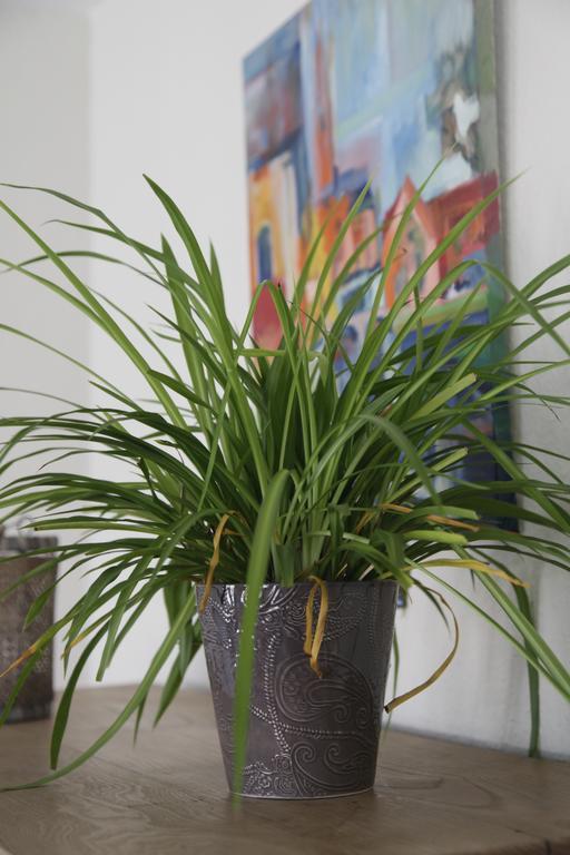 Aux Herbes Folles Herve Luaran gambar
